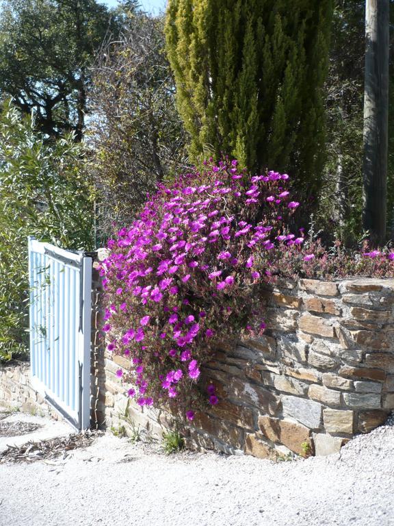 Villa Merveille 봄레미모사 외부 사진