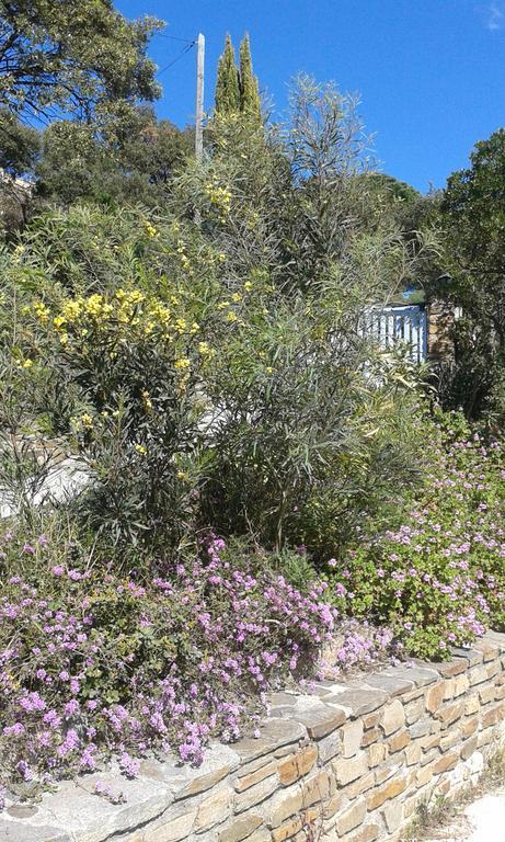 Villa Merveille 봄레미모사 외부 사진